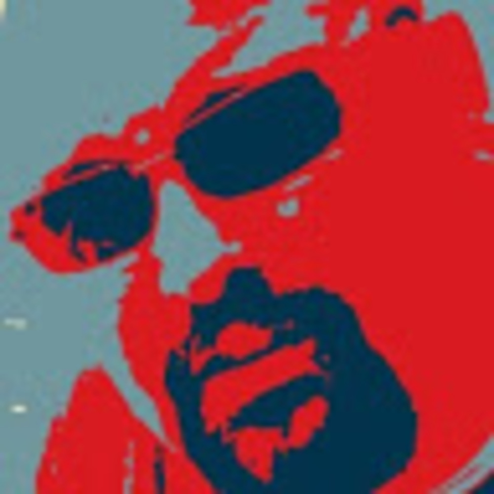 Meet your Posher, Will